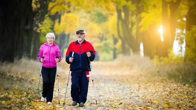 일상에 여유를 더하는 야외 걷기의 의미